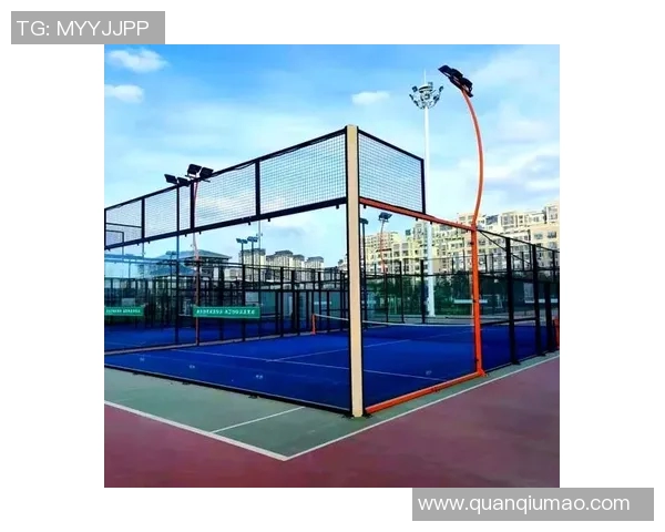 北京网球队防守革新探秘如何提升竞技水平与战术灵活性