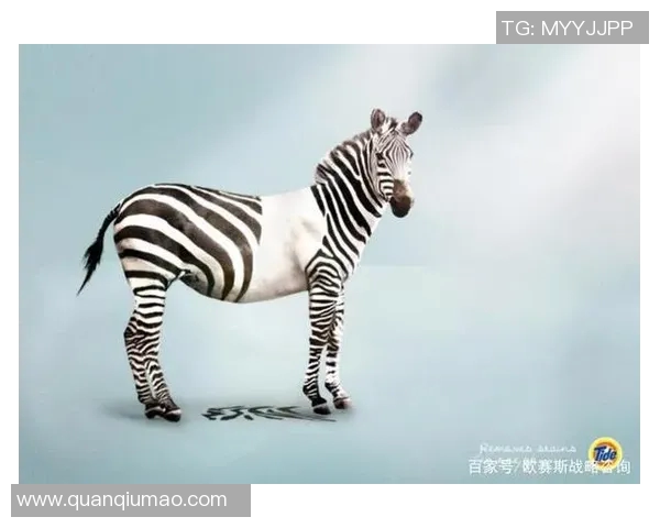 创新广告设计：打破常规，打造品牌独特视觉体验与传播价值