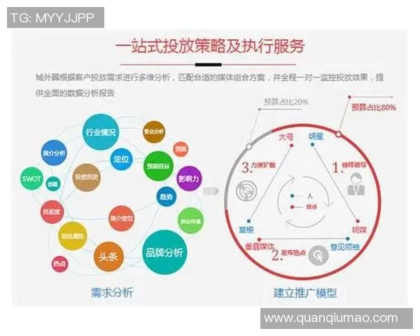 如何通过精准的营销策划提升品牌影响力与市场竞争力打造成功案例