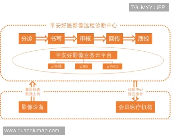 智能医疗助力健康管理创新，推动精准诊疗与远程医疗服务融合发展